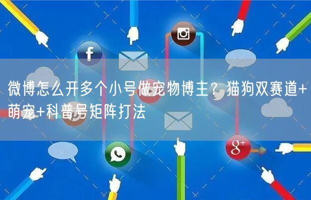 微博怎么开多个小号做宠物博主？猫狗双赛道+萌宠+科普号矩阵打法