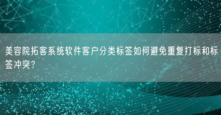 美容院拓客系统软件客户分类标签如何避免重复打标和标签冲突？