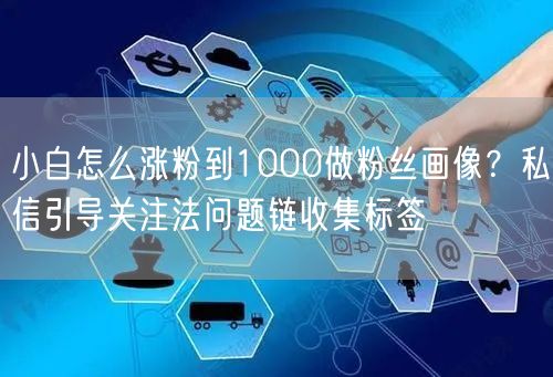 小白怎么涨粉到1000做粉丝画像？私信引导关注法问题链收集标签