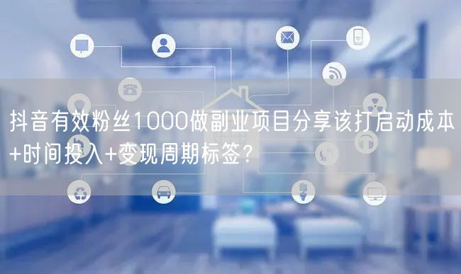 抖音有效粉丝1000做副业项目分享该打启动成本+时间投入+变现周期标签？