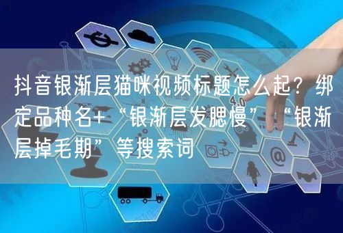 抖音银渐层猫咪视频标题怎么起？绑定品种名+“银渐层发腮慢”“银渐层掉毛期”等搜索