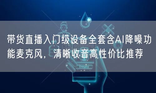 带货直播入门级设备全套含AI降噪功能麦克风，清晰收音高性价比推荐
