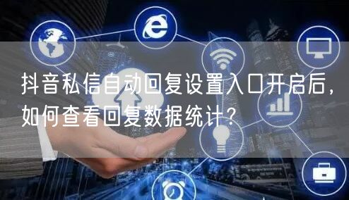 抖音私信自动回复设置入口开启后，如何查看回复数据统计？