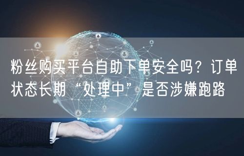 粉丝购买平台自助下单安全吗？订单状态长期“处理中”是否涉嫌跑路