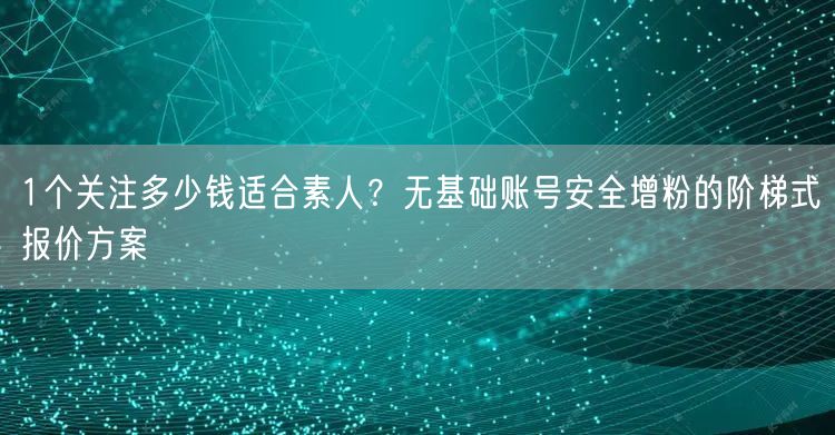 1个关注多少钱适合素人?无基础账号安全增粉的阶梯式报价方案
