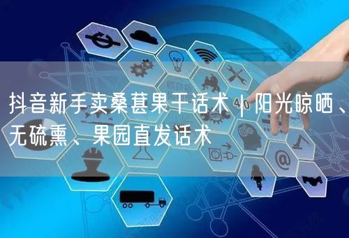 抖音新手卖桑葚果干话术｜阳光晾晒、无硫熏、果园直发话术
