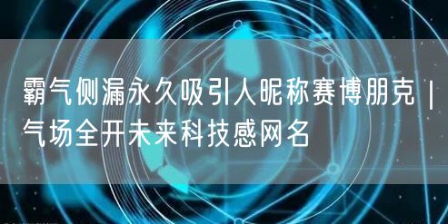 霸气侧漏永久吸引人昵称赛博朋克｜气场全开未来科技感网名