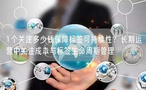 1个关注多少钱保障标签可持续性？长期运营中关注成本与标签生命周期管理