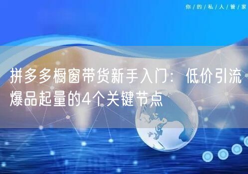 拼多多橱窗带货新手入门：低价引流爆品起量的4个关键节点