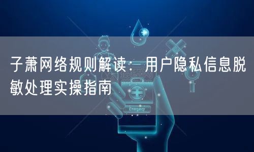 子萧网络规则解读:用户隐私信息脱敏处理实操指南