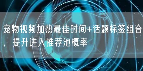 宠物视频加热最佳时间+话题标签组合，提升进入推荐池概率