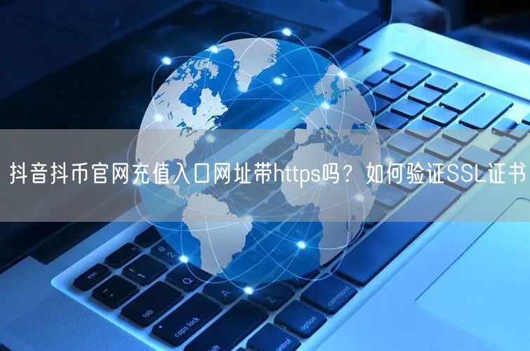 抖音抖币官网充值入口网址带https吗？如何验证SSL证书