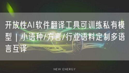 开放性AI软件翻译工具可训练私有模型｜小语种/方言/行业语料定制多语言互译