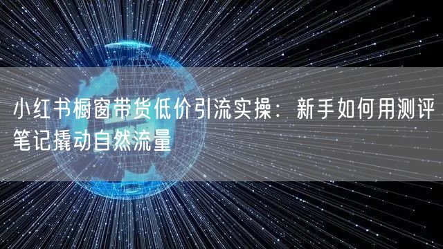小红书橱窗带货低价引流实操:新手如何用测评笔记撬动自然流量