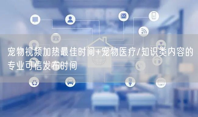 宠物视频加热最佳时间+宠物医疗/知识类内容的专业可信发布时间